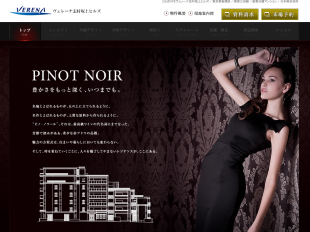 ヴェレーナ志村坂上ヒルズ(東京都)(日本総合地所)