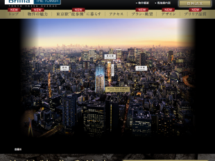 Brillia THE TOWER TOKYO YAESU AVENUE（東京都）（東京建物／三菱地所レジデンス）